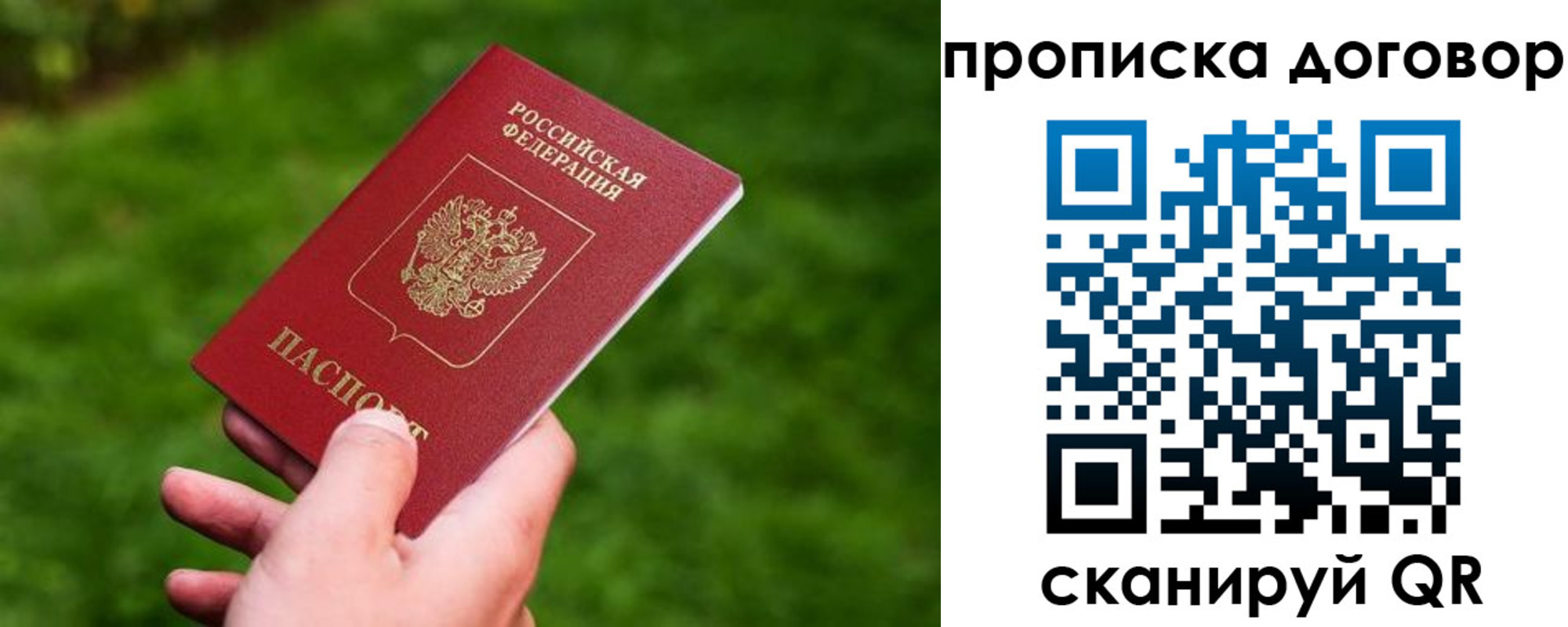 прописка гарантия в Тимашёвске